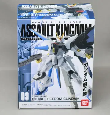 어썰트 킹덤 스트라이크 프리덤 건담 ASSAULT KINGDOM
