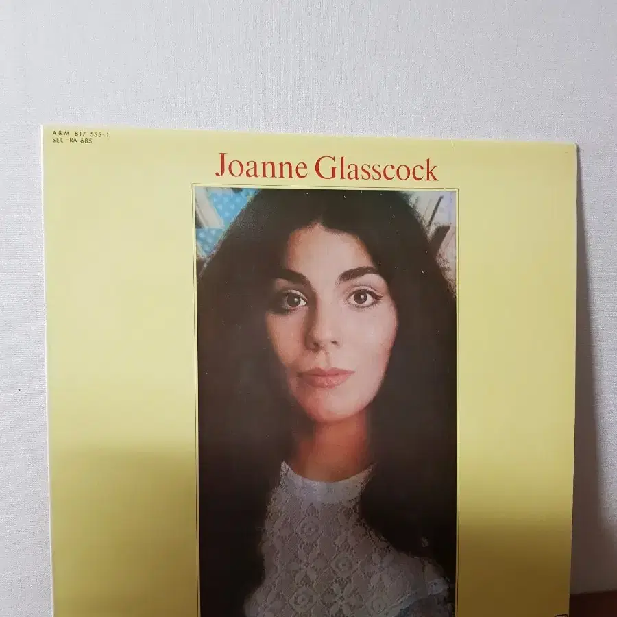 올드팝엘피 Joanne Glasscock Oldpoplp성음lp Folk