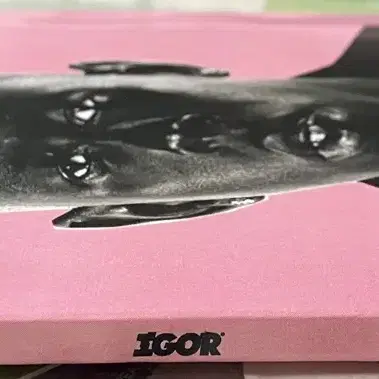 타일러 더 크리에이터 IGOR cd