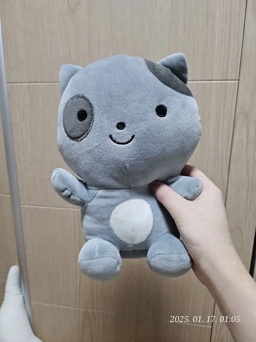 필리핀산 고양이 인형