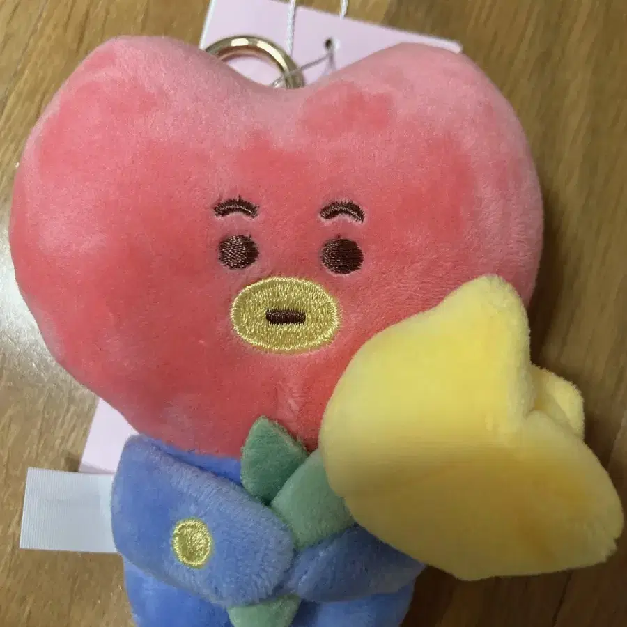 BT21 SPRING DAYS TATA 타타 키링