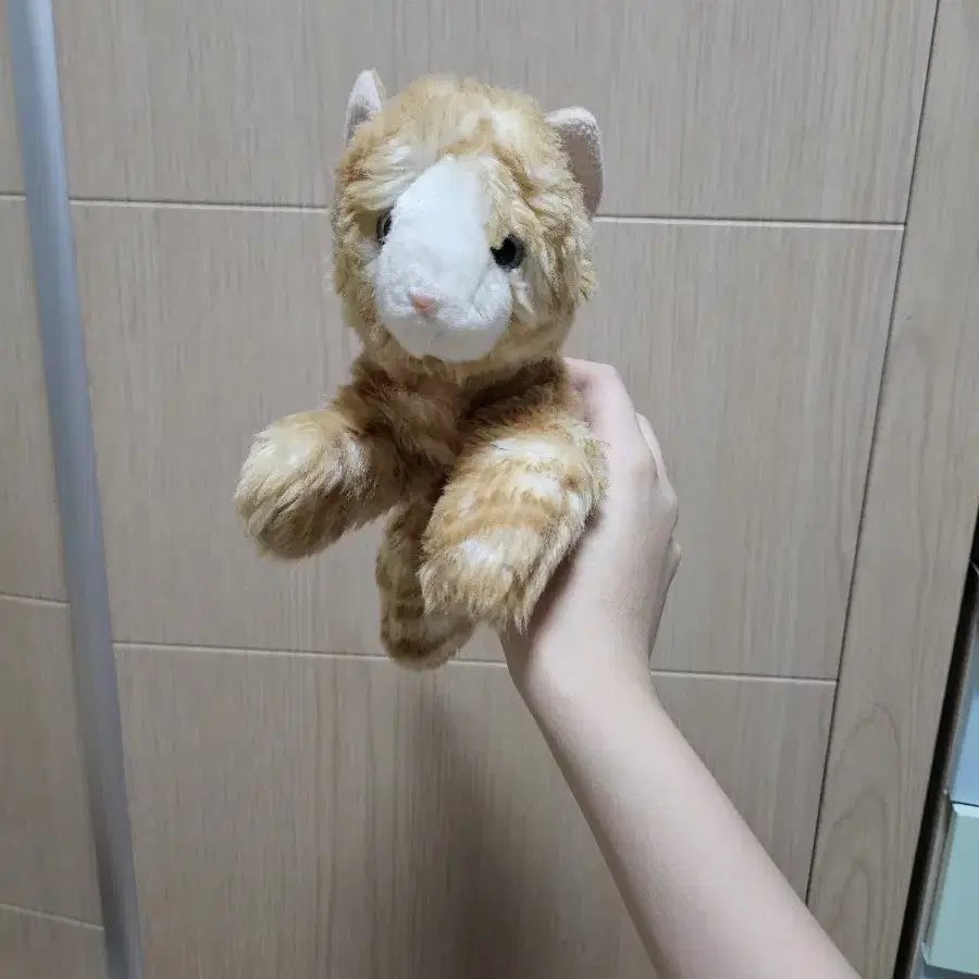 고양이 강아지 포로리 인형