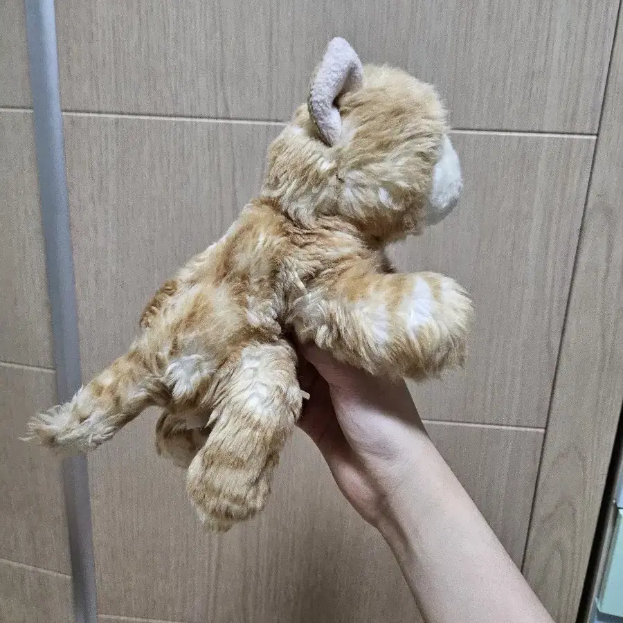 고양이 강아지 포로리 인형