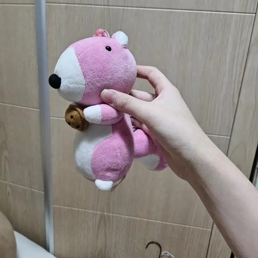 고양이 강아지 포로리 인형