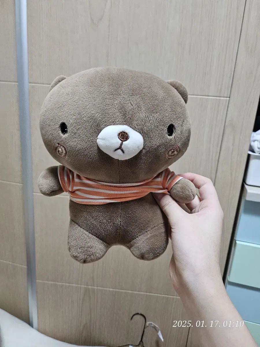 곰돌이 인형 필리핀산