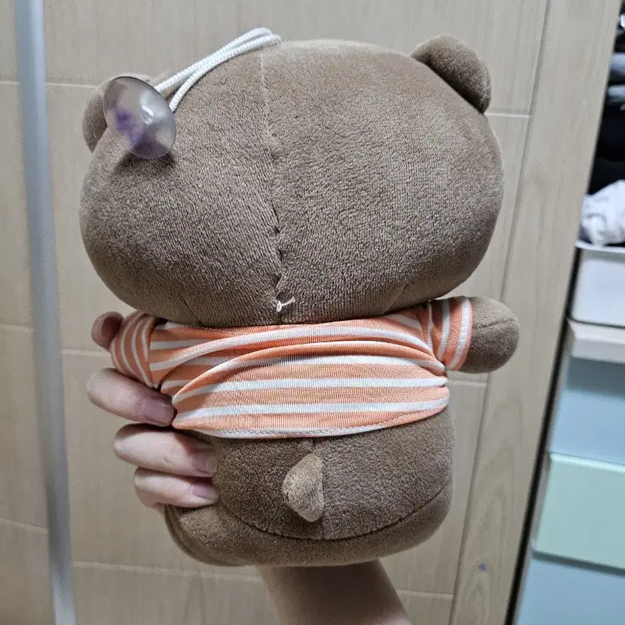 곰돌이 인형 필리핀산