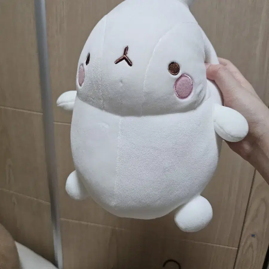 몰랑이 인형