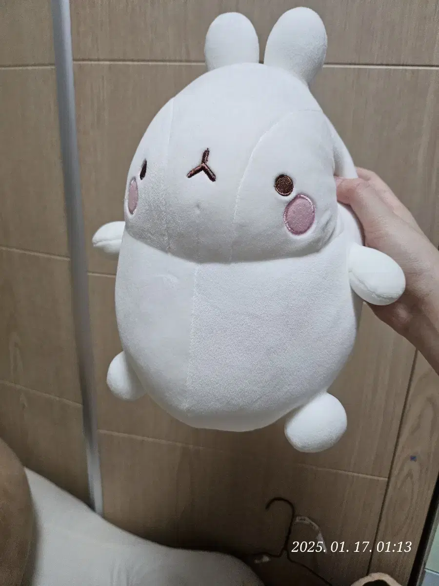 몰랑이 인형