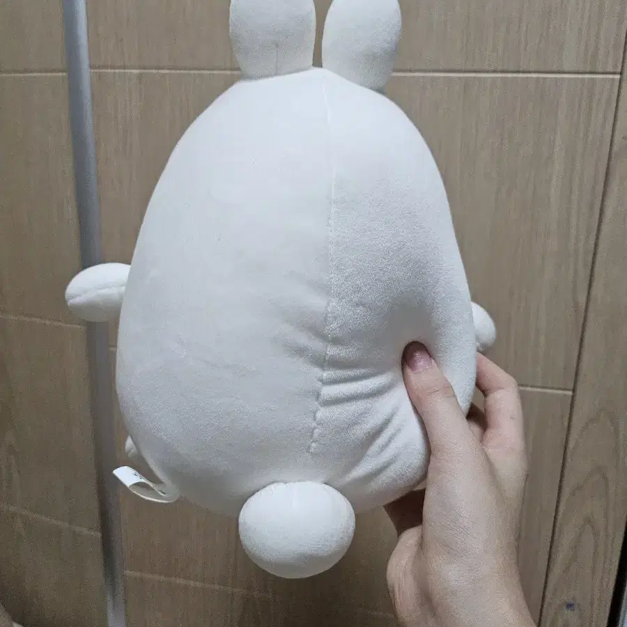 몰랑이 인형