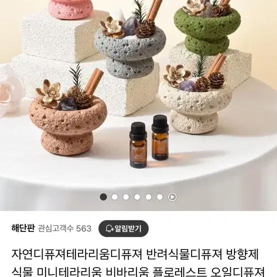 디퓨저 테라리움 방향제