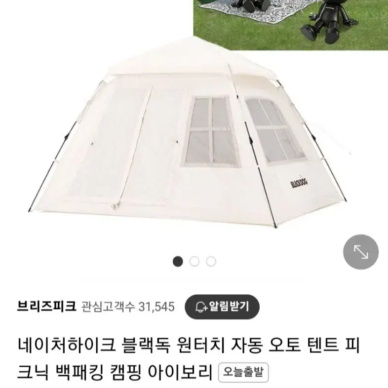 네이처하이크 블랙독 텐트 팝니다 3회사용