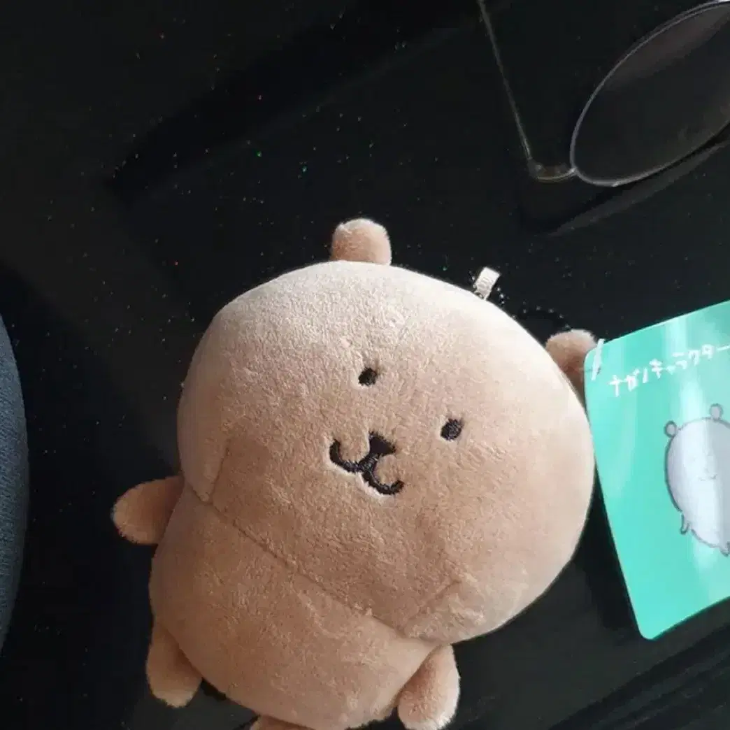 태닝 농담곰 판매