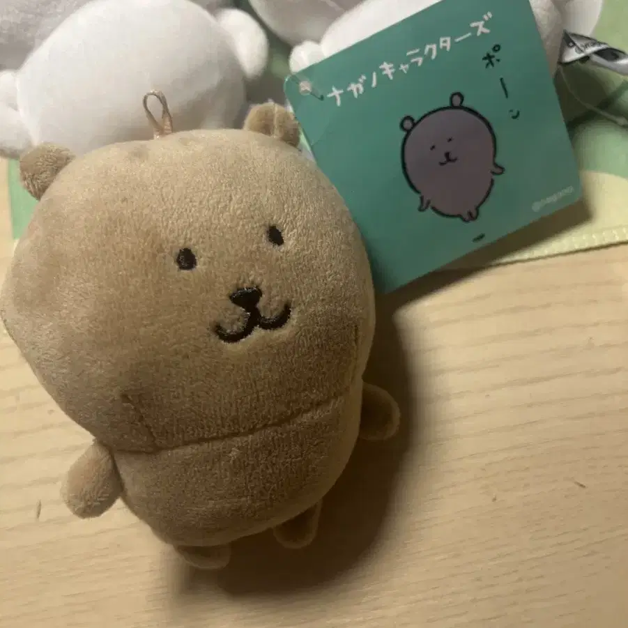 태닝 농담곰 판매