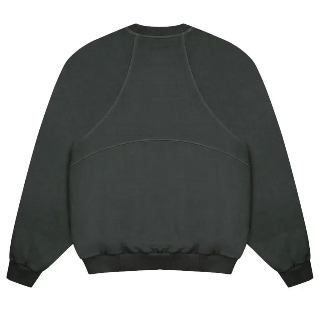 P. DYED STREAMLINE SWEATSHIRT