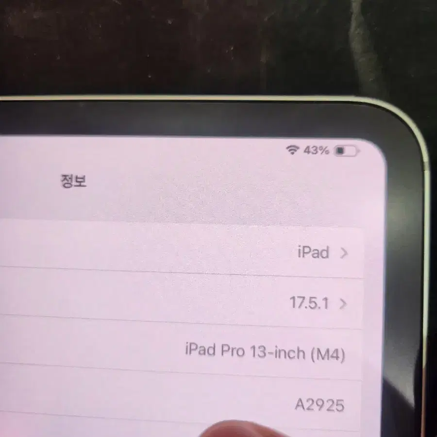 아이패드 프로 13인치 512 와이파이