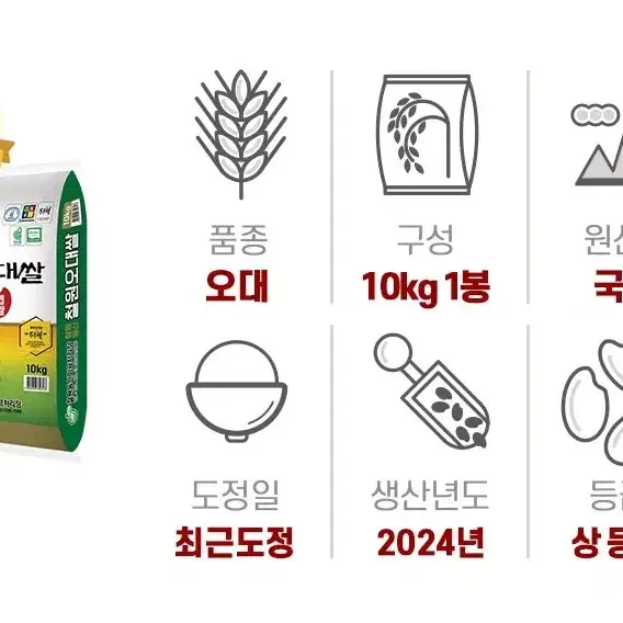 24년햅쌀 철원오대쌀 상등급 단일품종 10KG