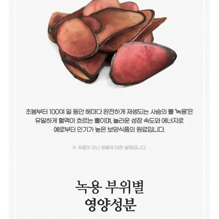 녹용진 대용량 스틱100포 상황버섯함유 활력충전 체력원기회복 부모효도선물