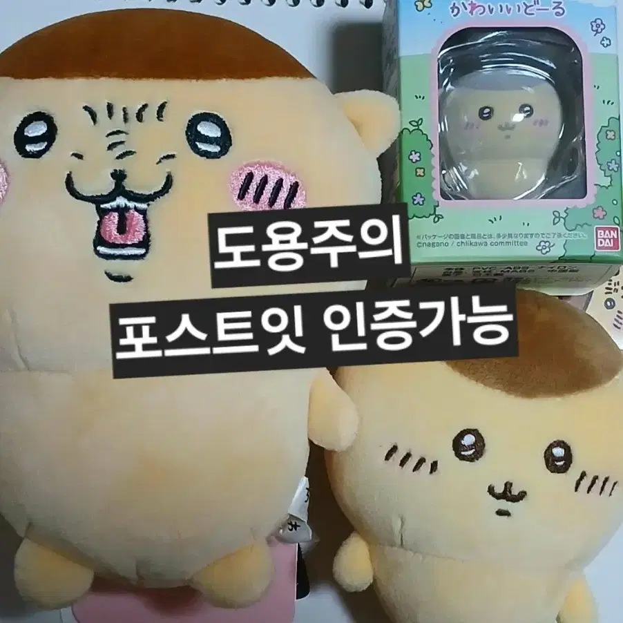 무료배송 택O 일본직구 쿠리만쥬 포테타마 쿠리만주 농담곰 나가노