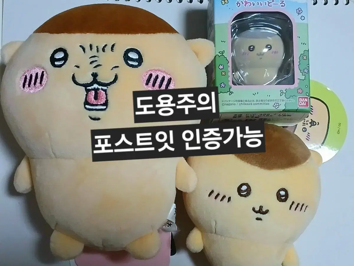 무료배송 택O 일본직구 쿠리만쥬 포테타마 쿠리만주 농담곰 나가노