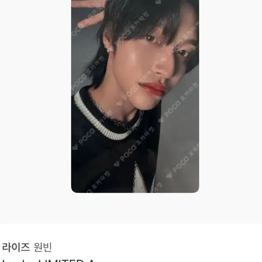 원빈 포카 양도