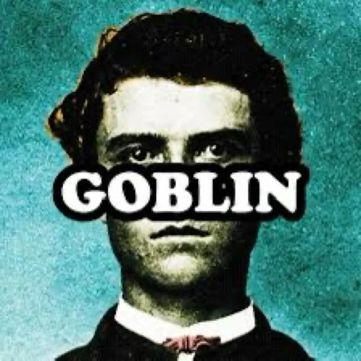 (구함)Tyler, the creator 정규 1집 goblin CD