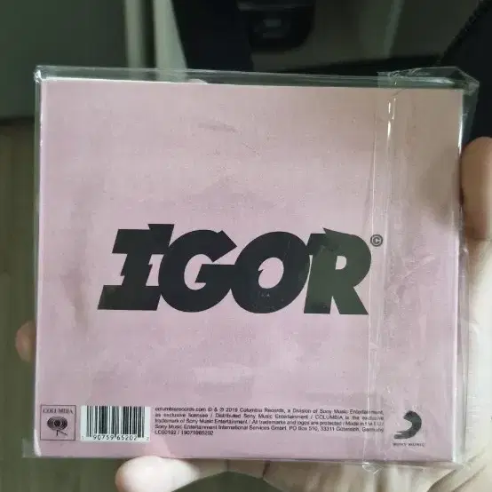 타일러 더 크리에이터 IGOR CD