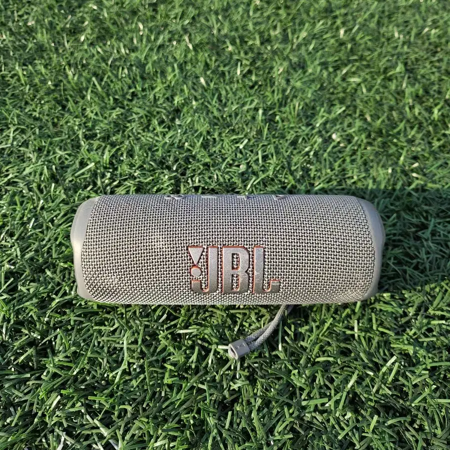 jbl flip6