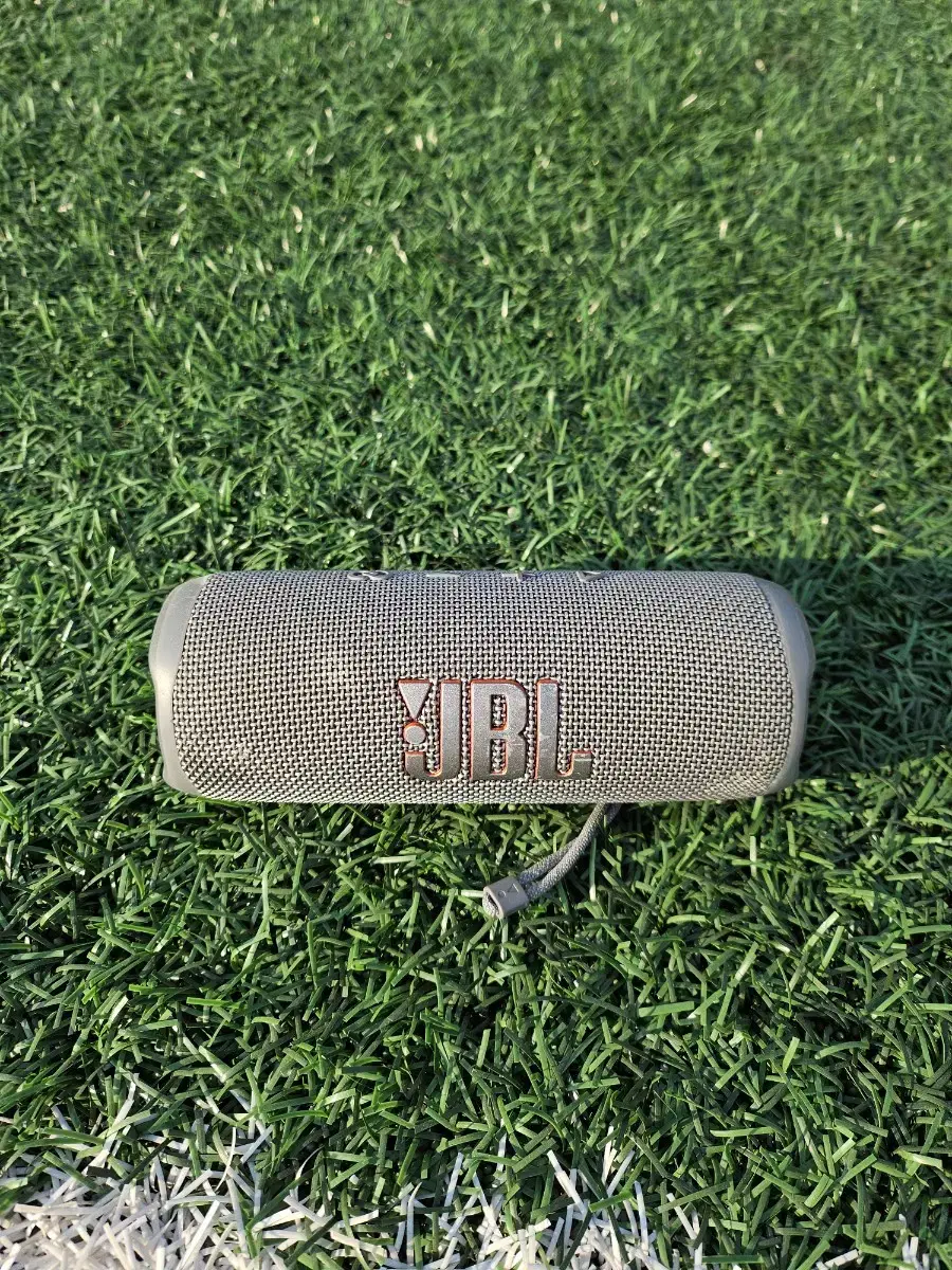 jbl flip6