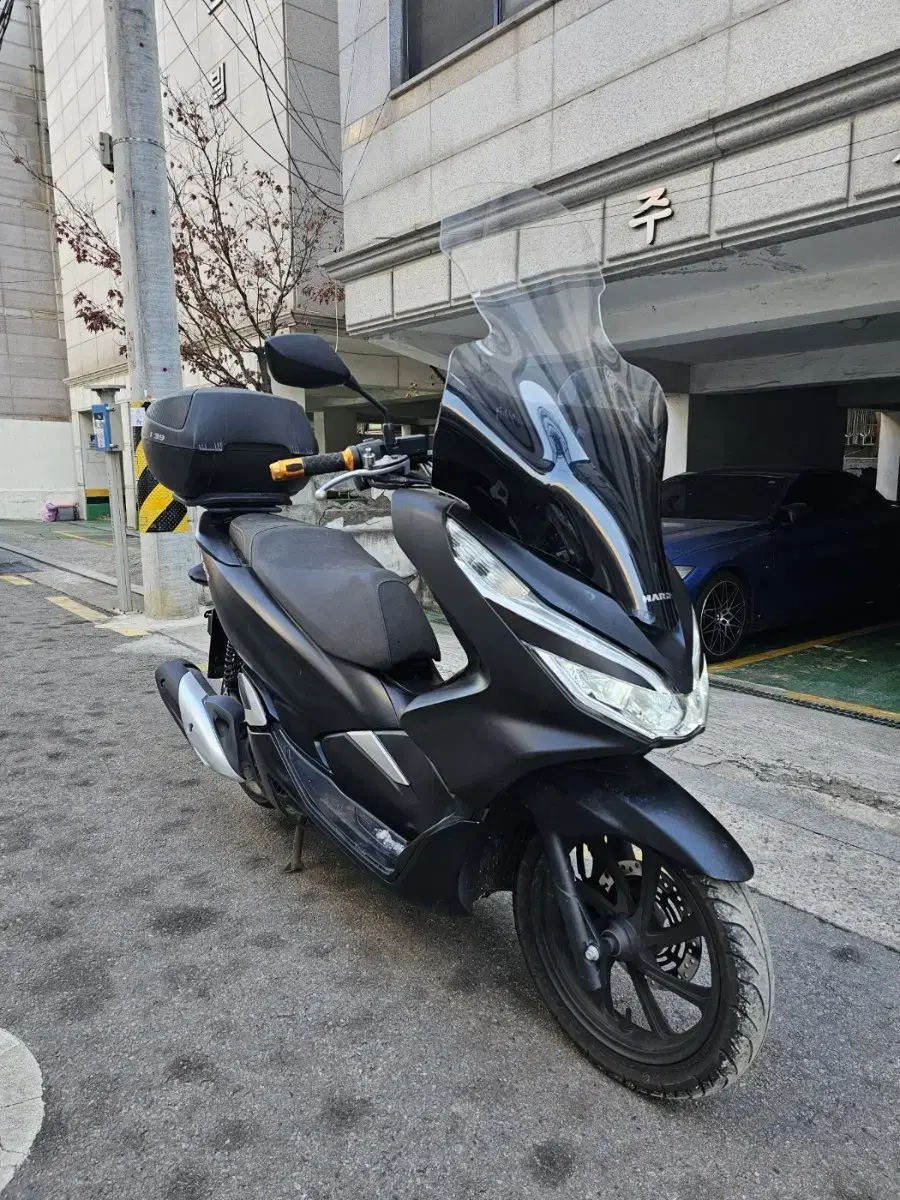 Pcx125 20년 13000km 실키로수 급매 nmax xmax 포르자