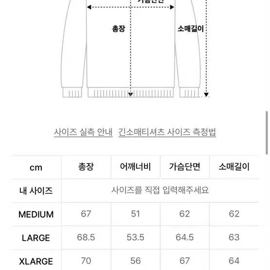 (M)암피스트 트래블러 플리스 풀오버 그레이