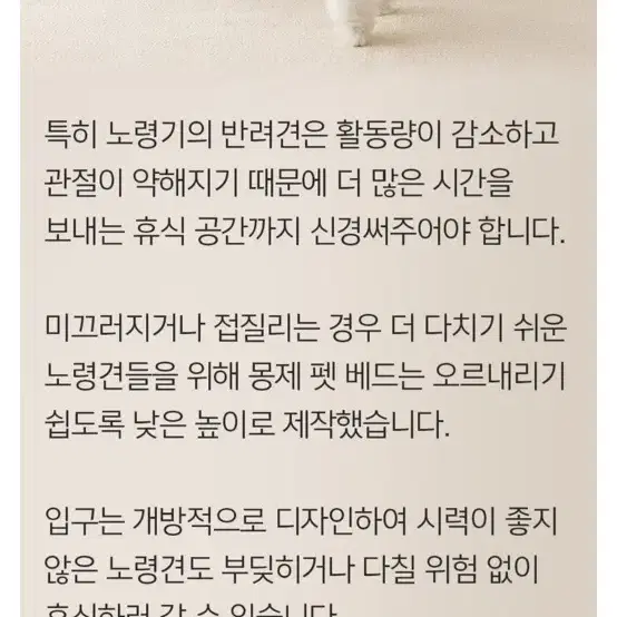 몽제 강아지쿠션 강아지방석