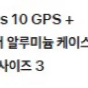 애플워치SE10 GPS+Cellular 42mm 실버 스포츠 루프 S3