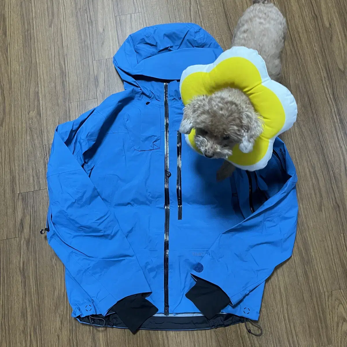 디미토 VTX 3L JACKET AQUA STEEL