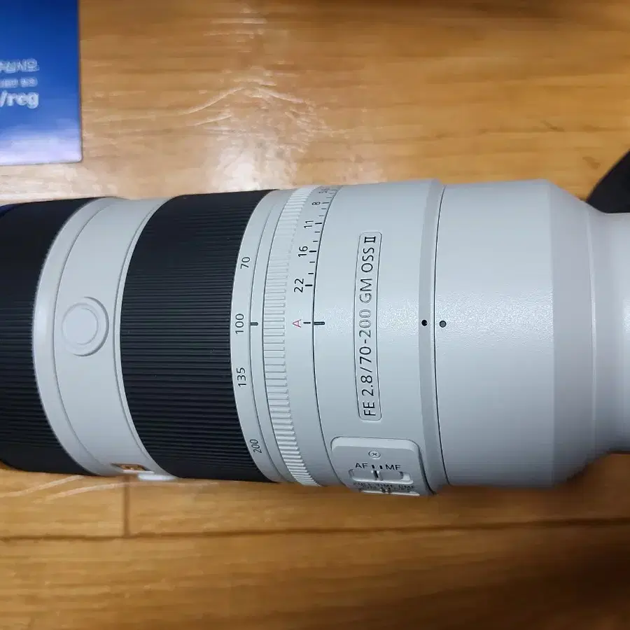 소니 FE 70-200mm gm ll 금령2