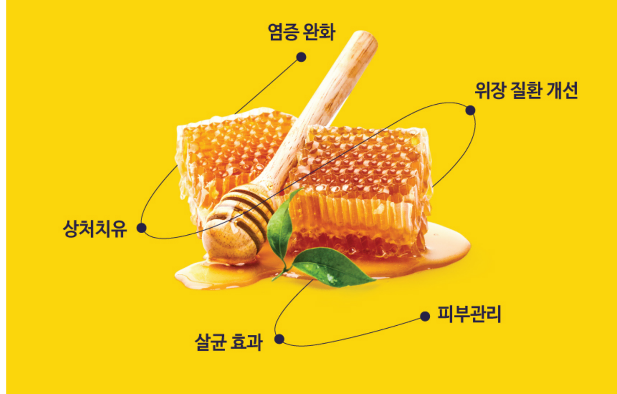 호주 마누카캔디세트 자연선물 위장질환 염증완화 기관지