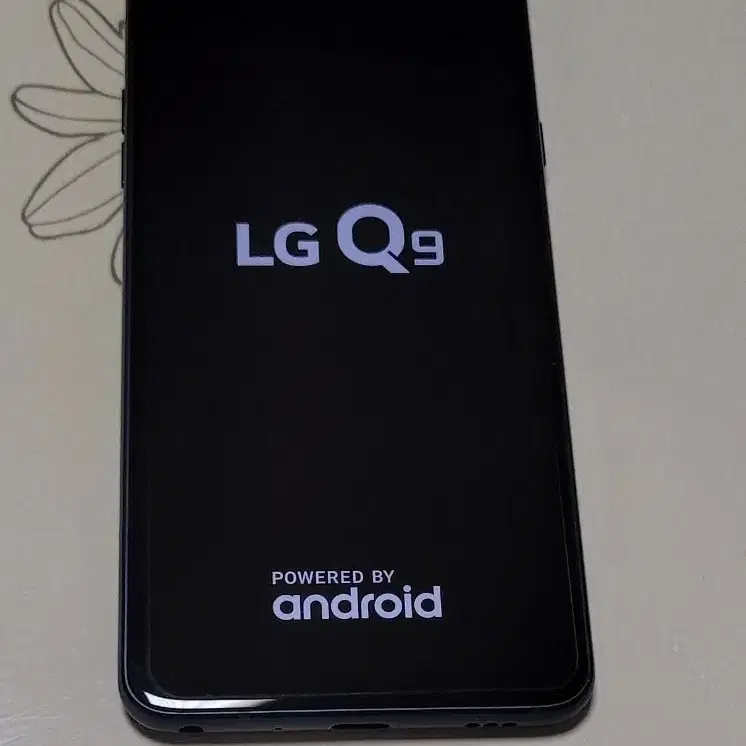 LG Q9