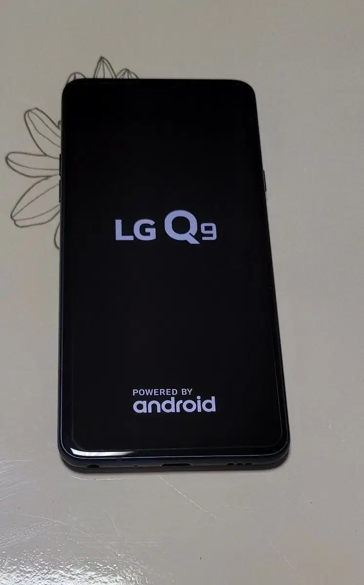 LG Q9