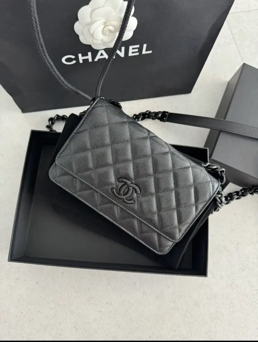 Chanel WOC