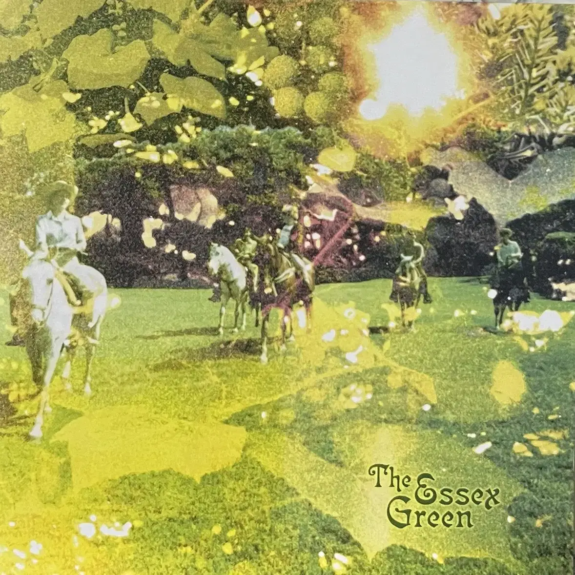 (CD) Essex Green - Everything Is Green