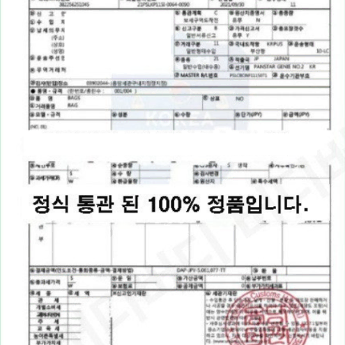 PING 여성 멀티 방수 발수 바람막이