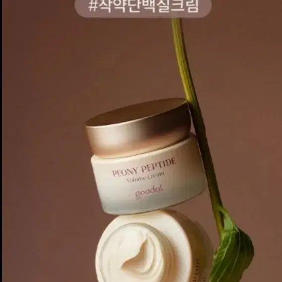 구달 피오니 펩타이드 주름 흔적 크림 60ml