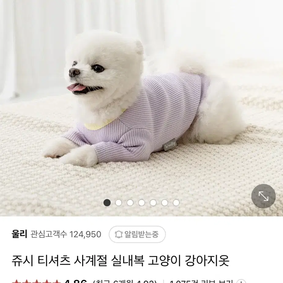 강아지옷 울리 쥬시 티셔츠 아이보리 L