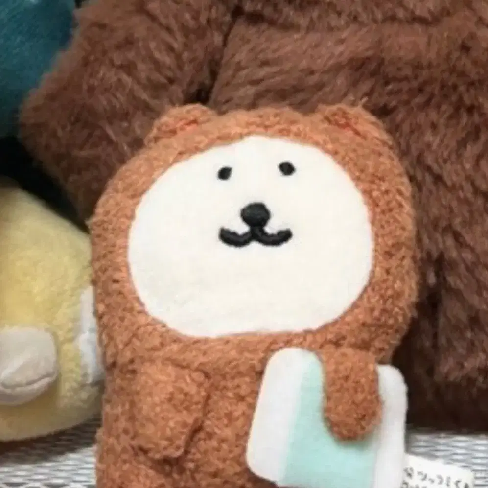 농담곰 잠옷곰 먹보곰 농담곰 8cm 구해요 나가노 먼작귀