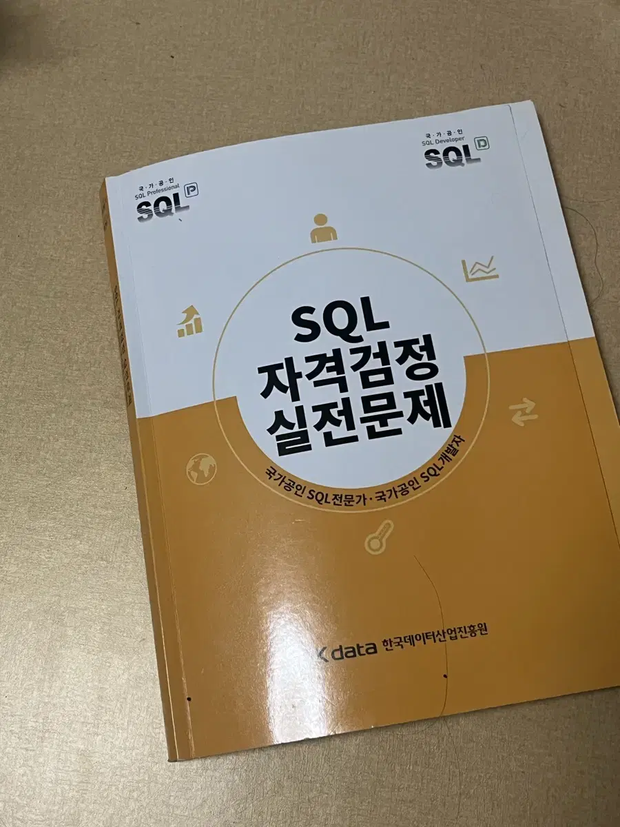 SQLD 노랭이 판매