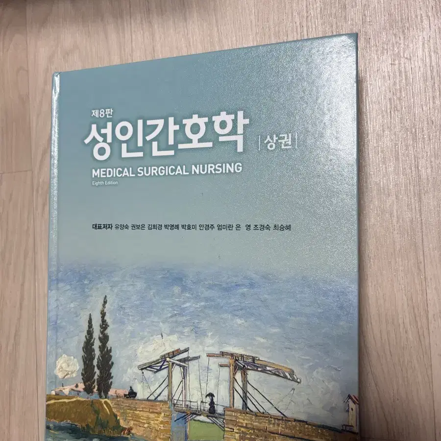 제8판 성인간호 현문사