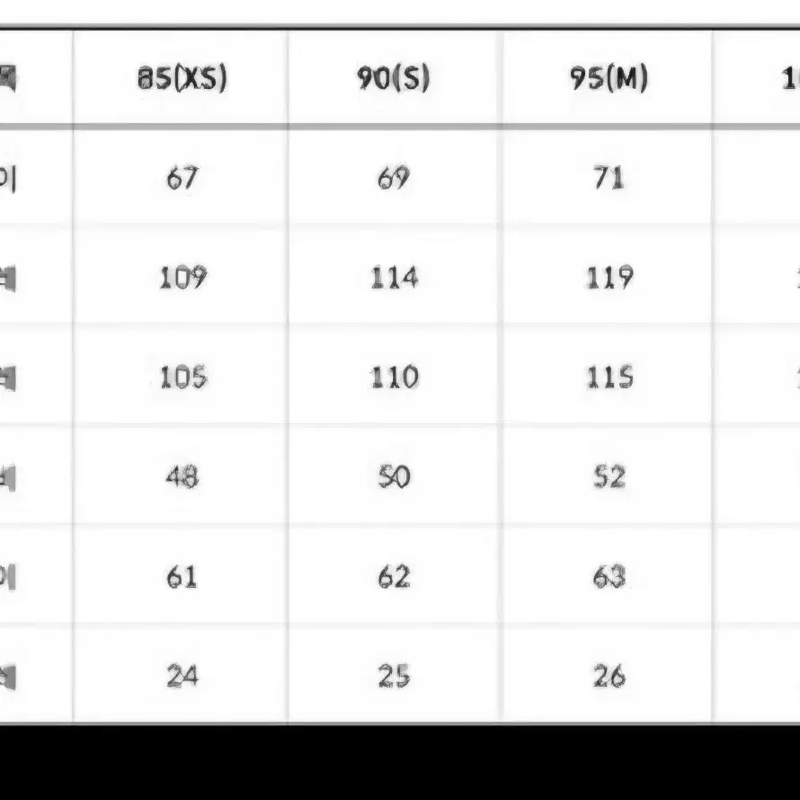 [새제품]노스페이스 레오파드 프린트 노벨티 눕시 95 남녀공용