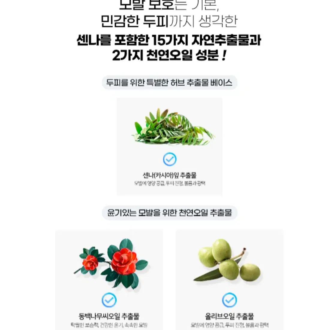 세이프 프리미엄 센나 트리트먼트 500ml