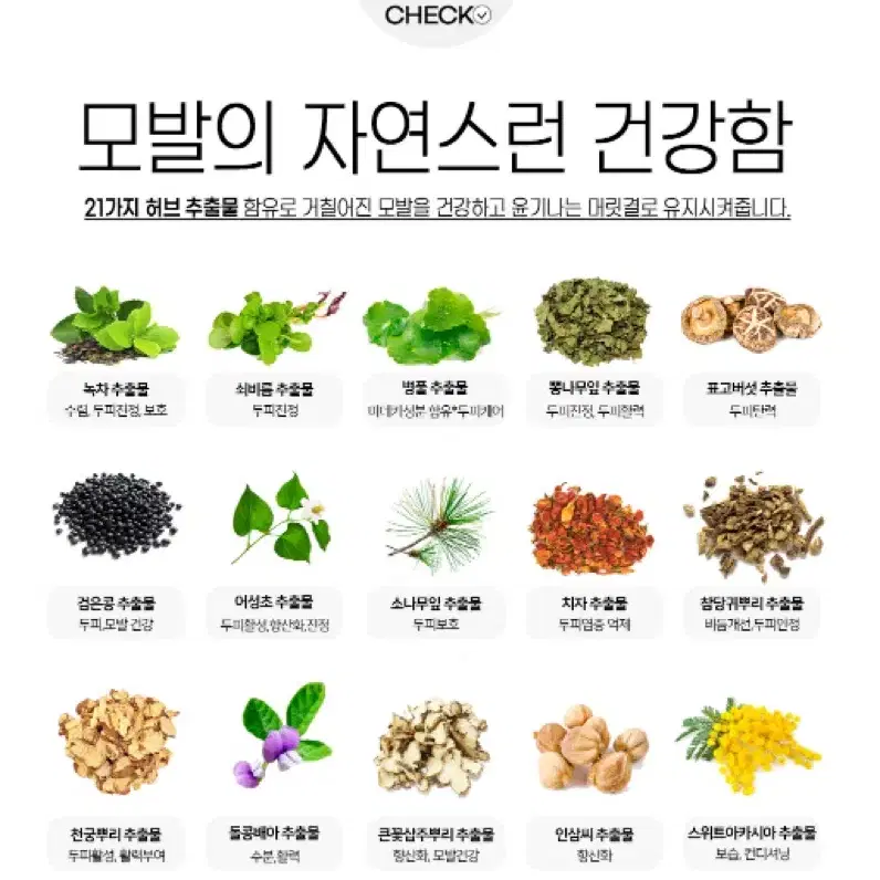 내추럴 허브 컬러 세럼 100g