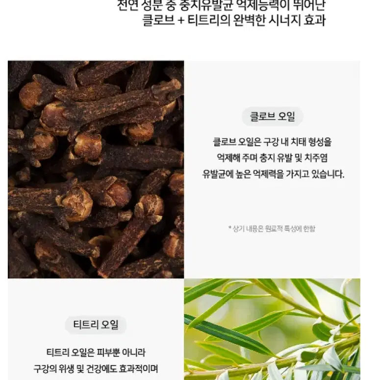 세이프존 프리미엄 검케어 치약 120g