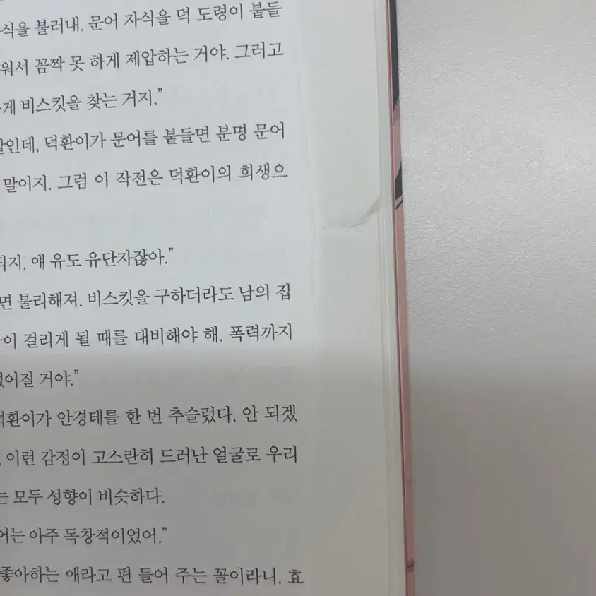 비스킷 책